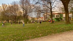 06D5F7F8-EA85-44D9-ACB0-F57A4F356B11 1 105 c