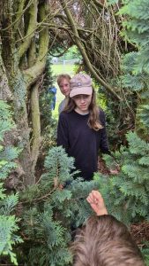 4e4fa67e-cb0f-4be8-bc5f-f1df8983756e-2