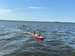 IMG 0431 ergebnis